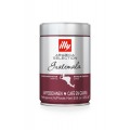 Illy GRAINS GUATEMALA 250G