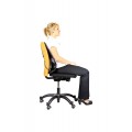 Fellowes SUPPORT DORSAL
