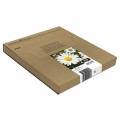 Epson MULTIPACK T1806 PAQUERETTES