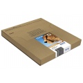 Epson MULTIPACK T0715 GUEPARD