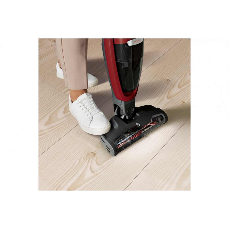 Brosse Rouleau Pour Aspirateur Electrolux Well Q6 WQ61-81 Et AEG QX6-8-2 - Rouleau Souple De Remplacement - Avec Brosse De Nettoyage Incluse