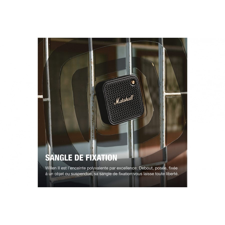 Marshall WILLEN II Black & Brass n°5