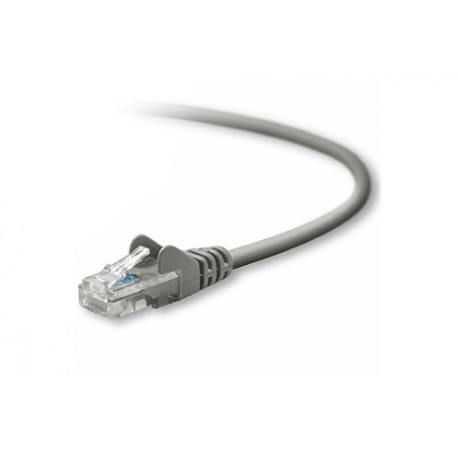 Belkin RJ45 Droit Mâle/Mâle 2M n°1