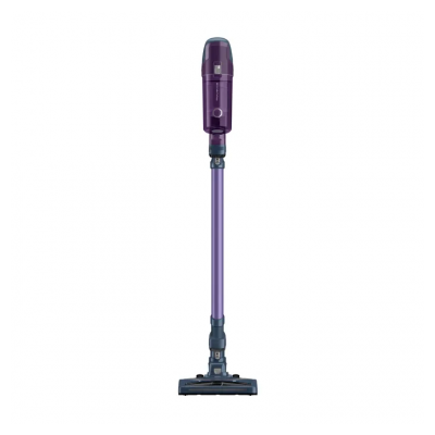 ROWENTA RH6822WO