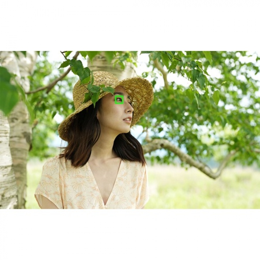 Sony Pack Alpha 7IV + FE 28-60mm f/4-5.6 + FE 50mm f/1.8 + 2ème batterie n°6