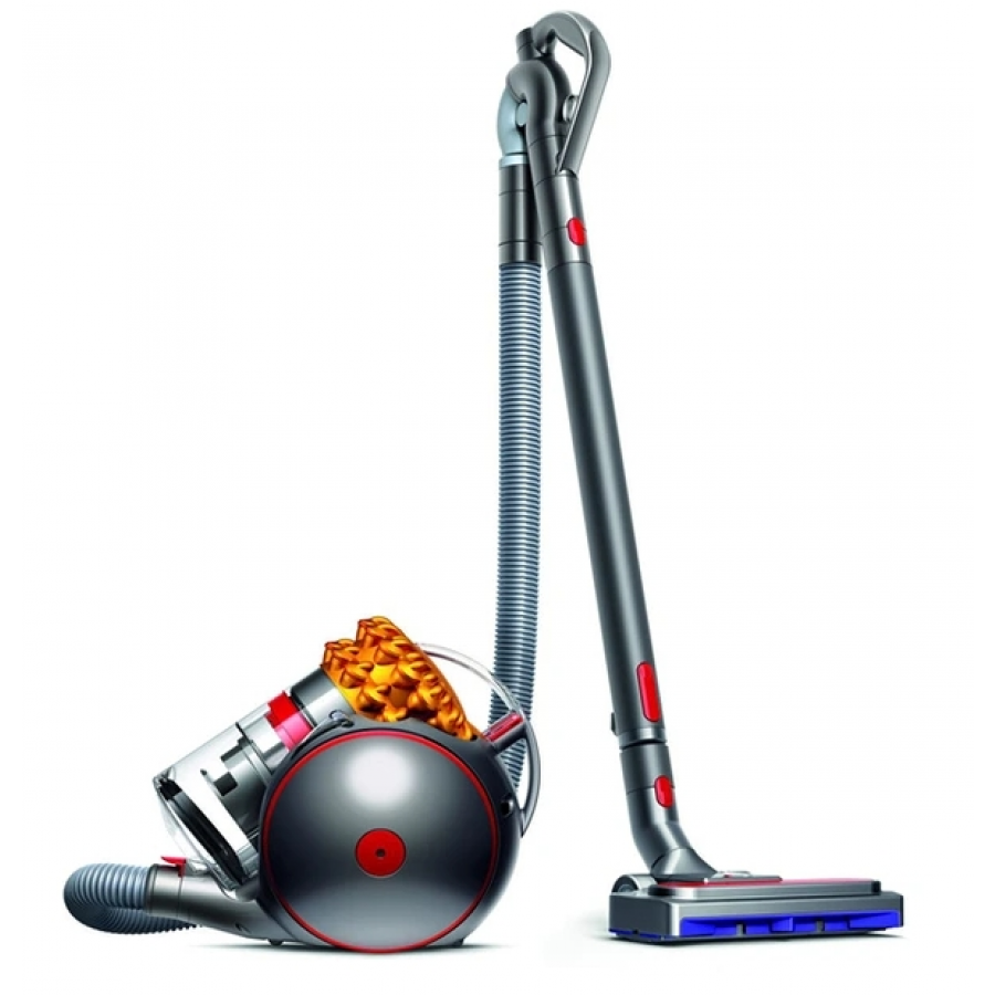 DYSON MULTIFLOOR2 BIGBALL n°1