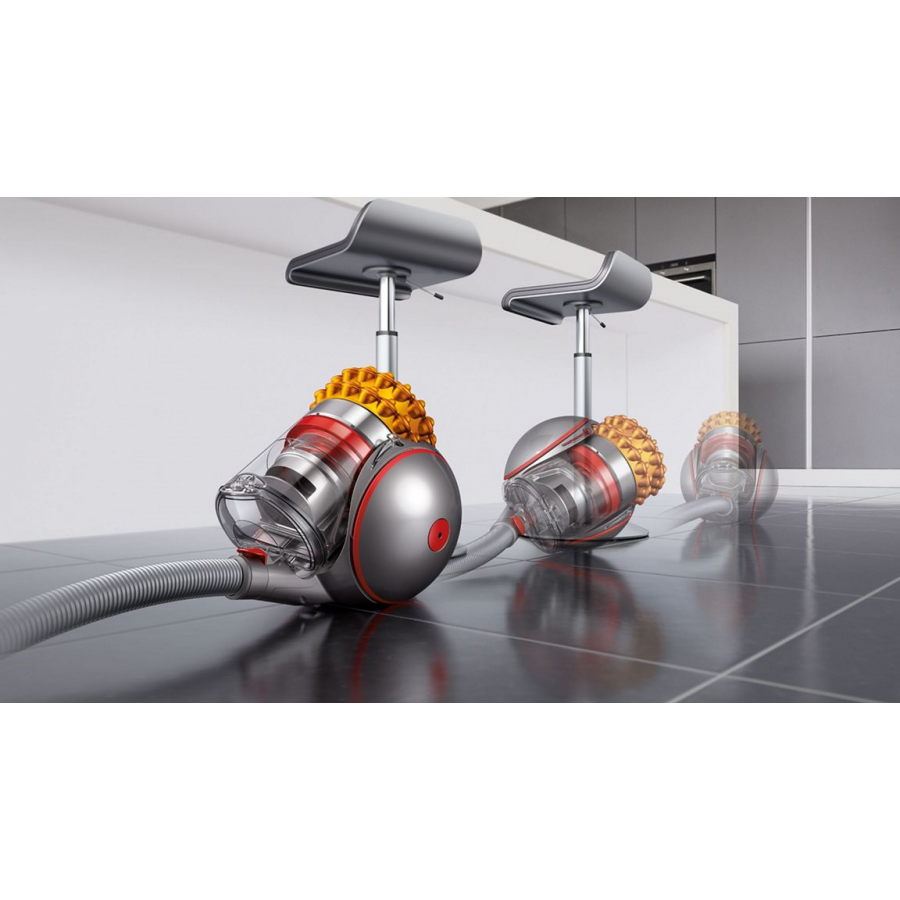 DYSON MULTIFLOOR2 BIGBALL n°6