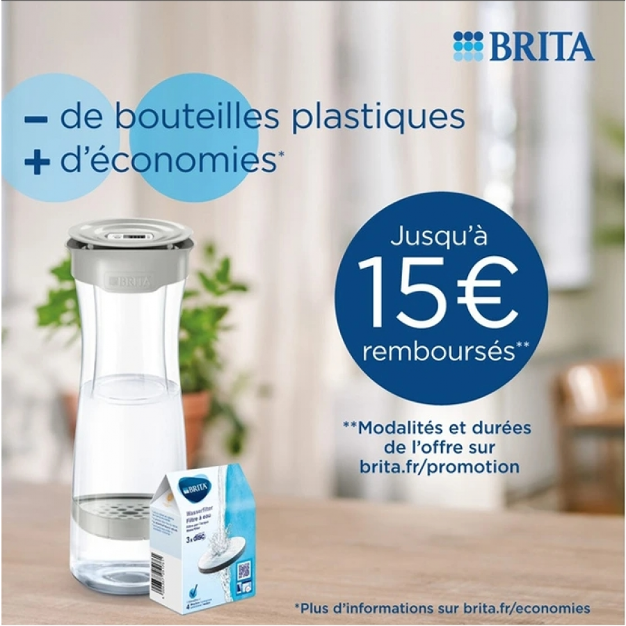 BRITA BOUTEILLE FILTRANTE BLANC/GRAPHITE - 2 MICRODISCS FILTRANTS INCLUS n°5