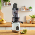 MOULINEX ZU600110