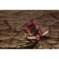 OM SYSTEM TG7 ROUGE