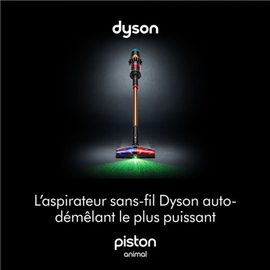 Dyson Dyson Piston Animal Submarine n°2