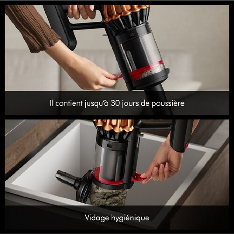 Dyson Dyson Piston Animal Submarine n°7