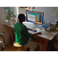 APPLE MAC MINI 256GO