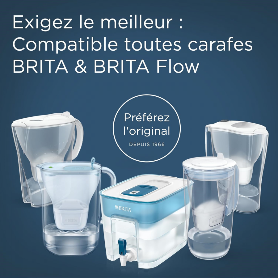 BRITA PACK 4 MAXTRA PRO - EXPERT ANTI-TARTRE n°6