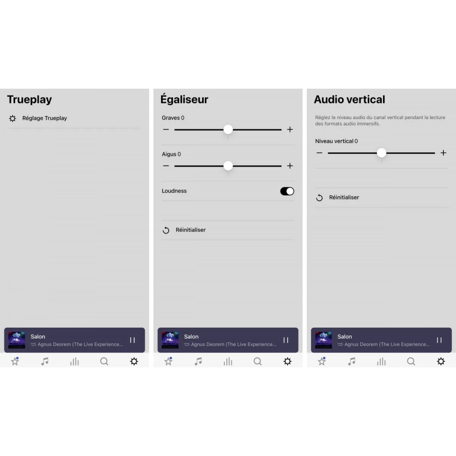 SONOS ERA 300 BLANC n°22