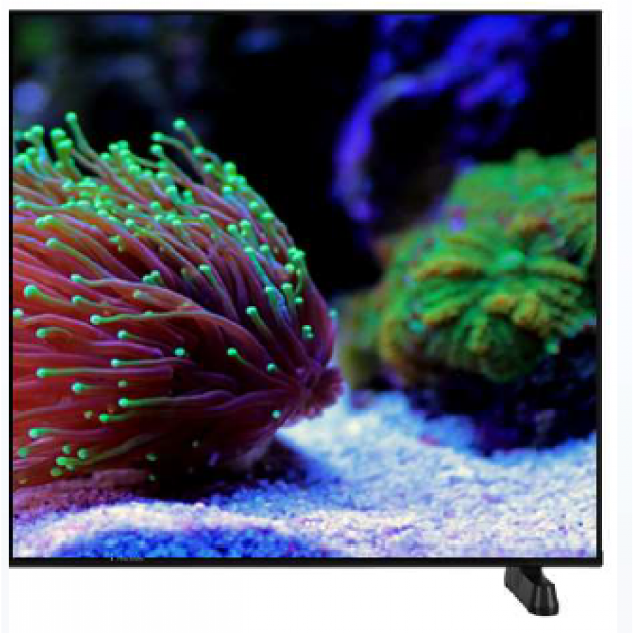 TECHNICAL LED55QLED90026B n°2