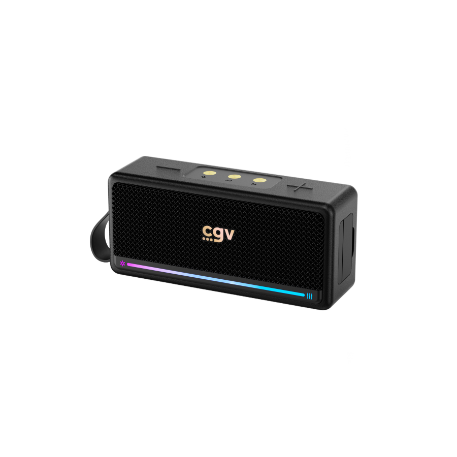CGV SOLIDVIBE MAX n°4