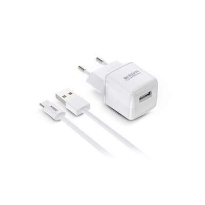 URBAN FACTORY CHARGEUR SECTEUR + CABLE USB-C